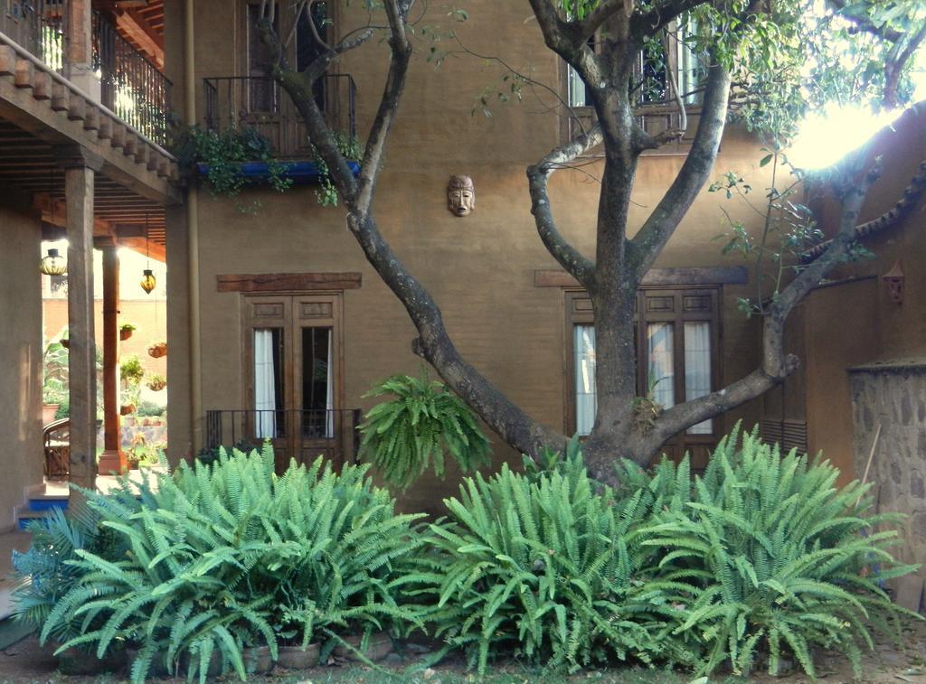 Yolihuani Pátzcuaro